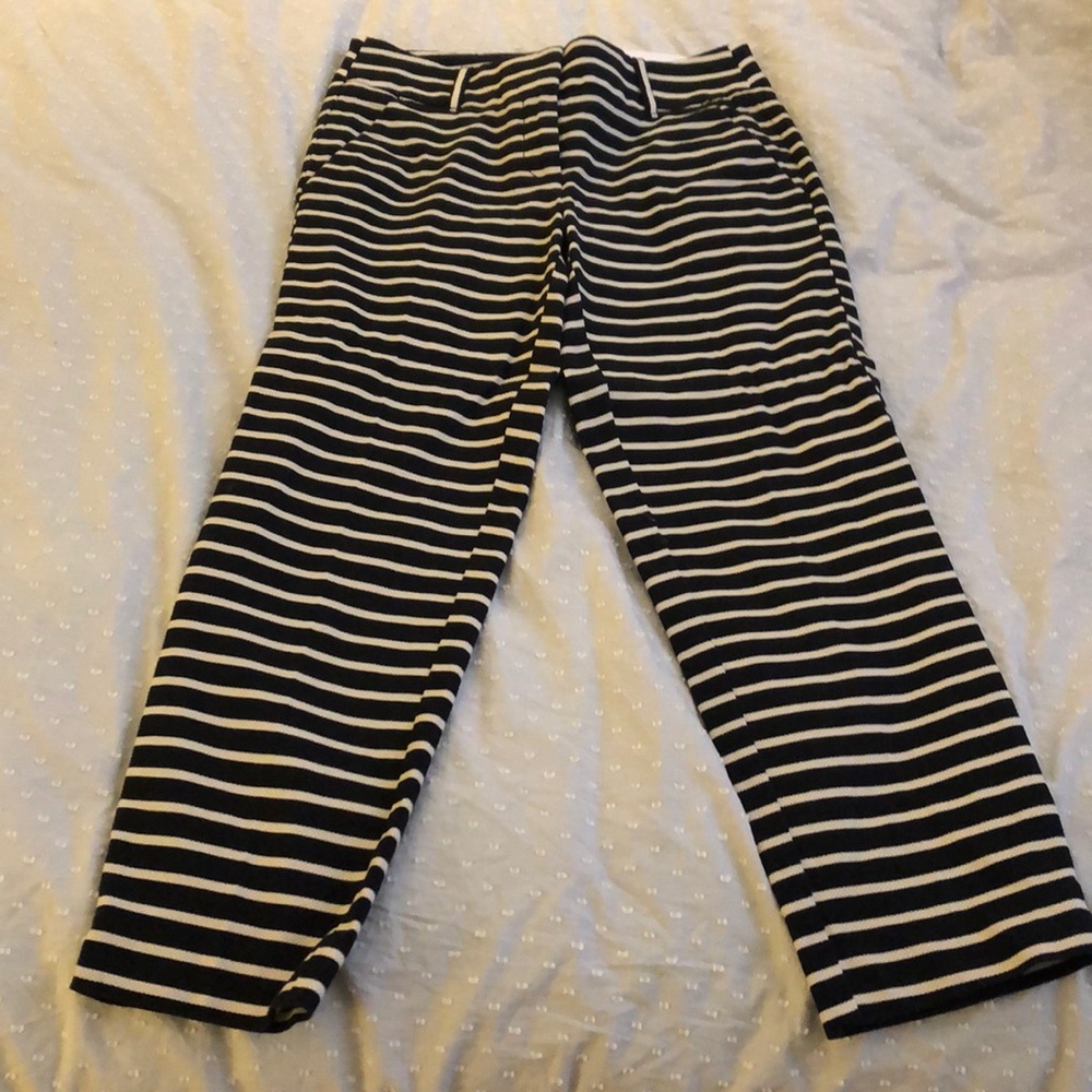 Loft pants